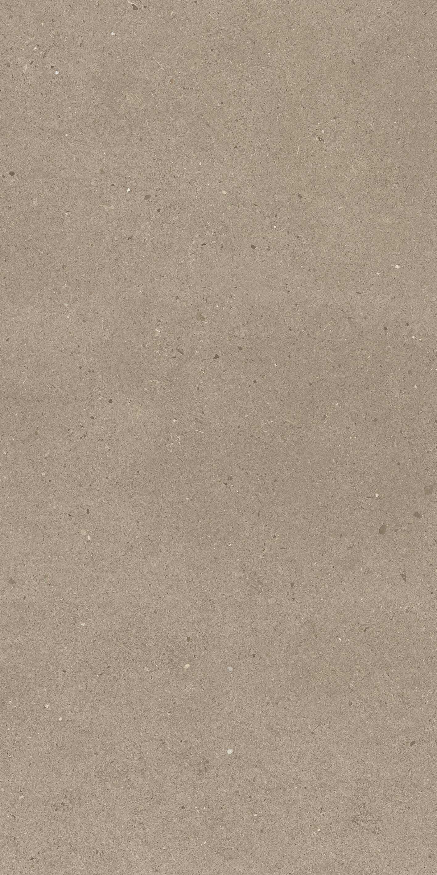 image_not_found